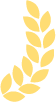 说明: 图片